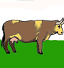 cow