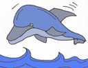 dolphin