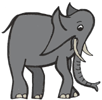 elephant