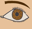 eye