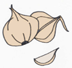 garlic