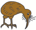 kiwi