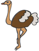 ostrich