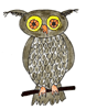 owl