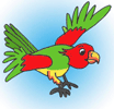 a parrot