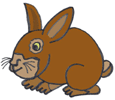 a rabbit