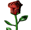 rose