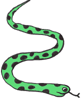 snake