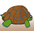 tortoise